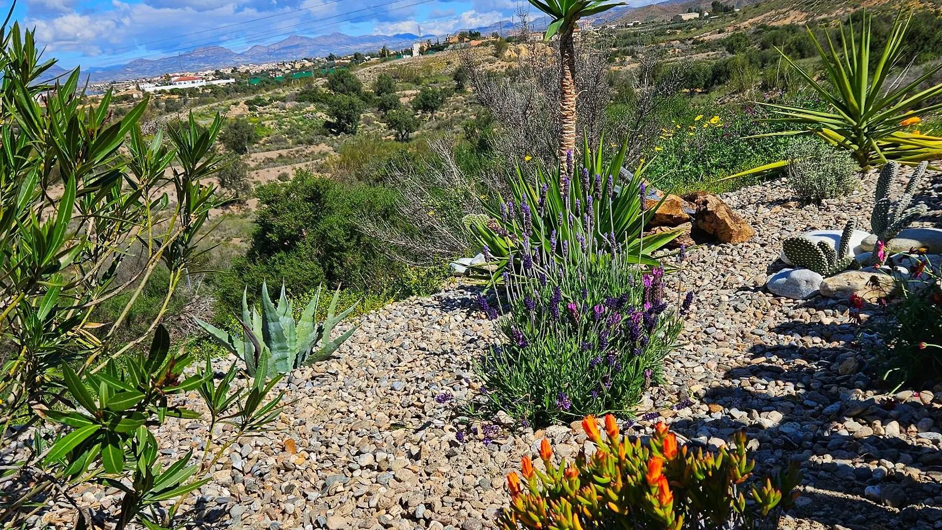Bed and Breakfast Cortijo El Ancla Albox
