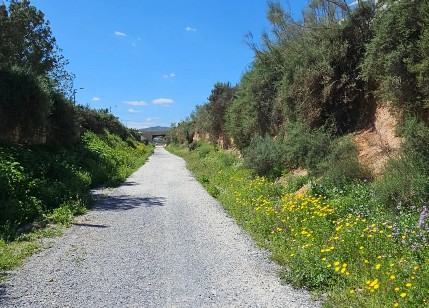 Cortijo El Ancla Bed & Breakfast Albox